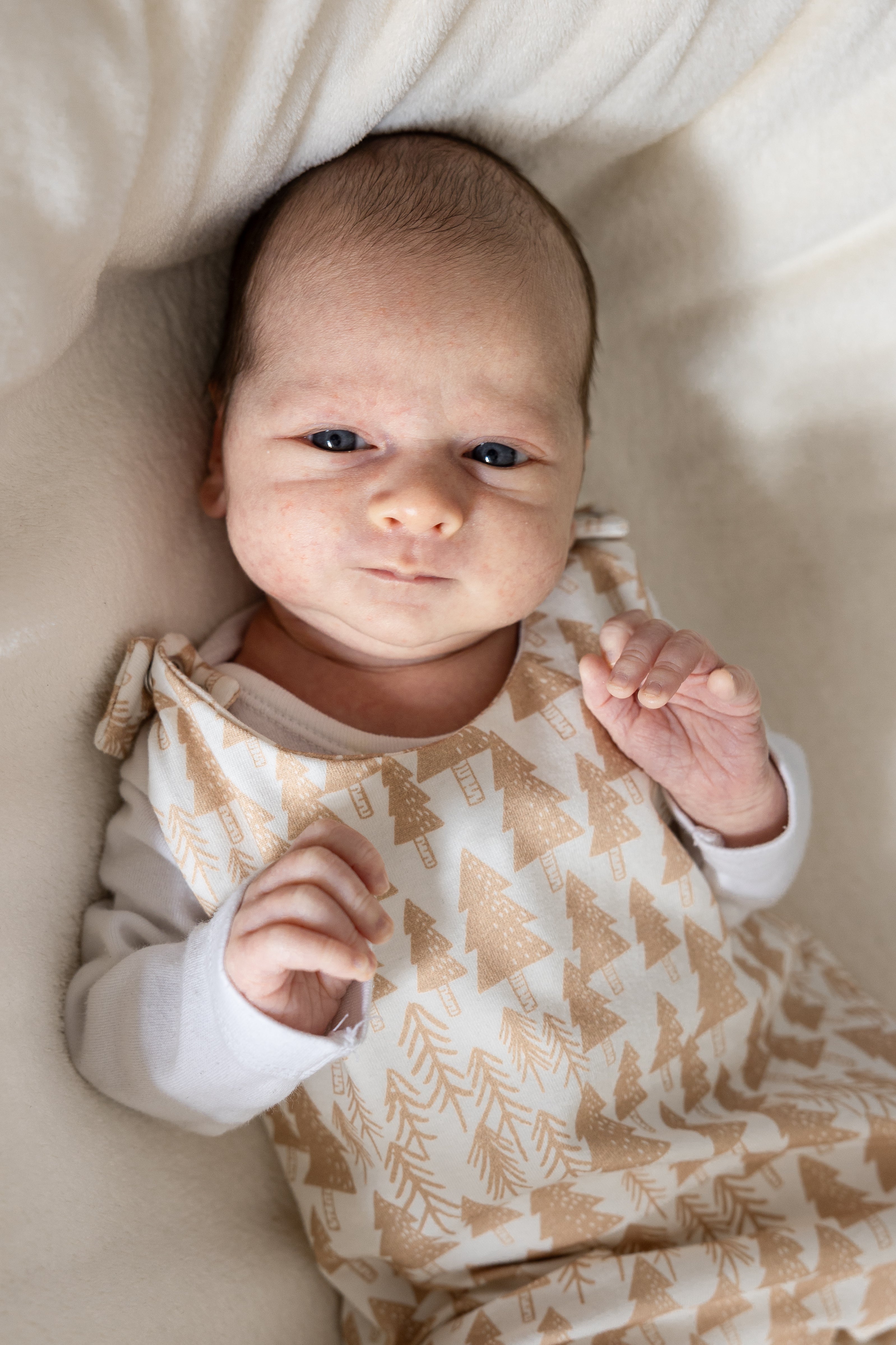 Dětské dupačky na druky s tlapičkami "Emily" 50 - 80 - PDF střih