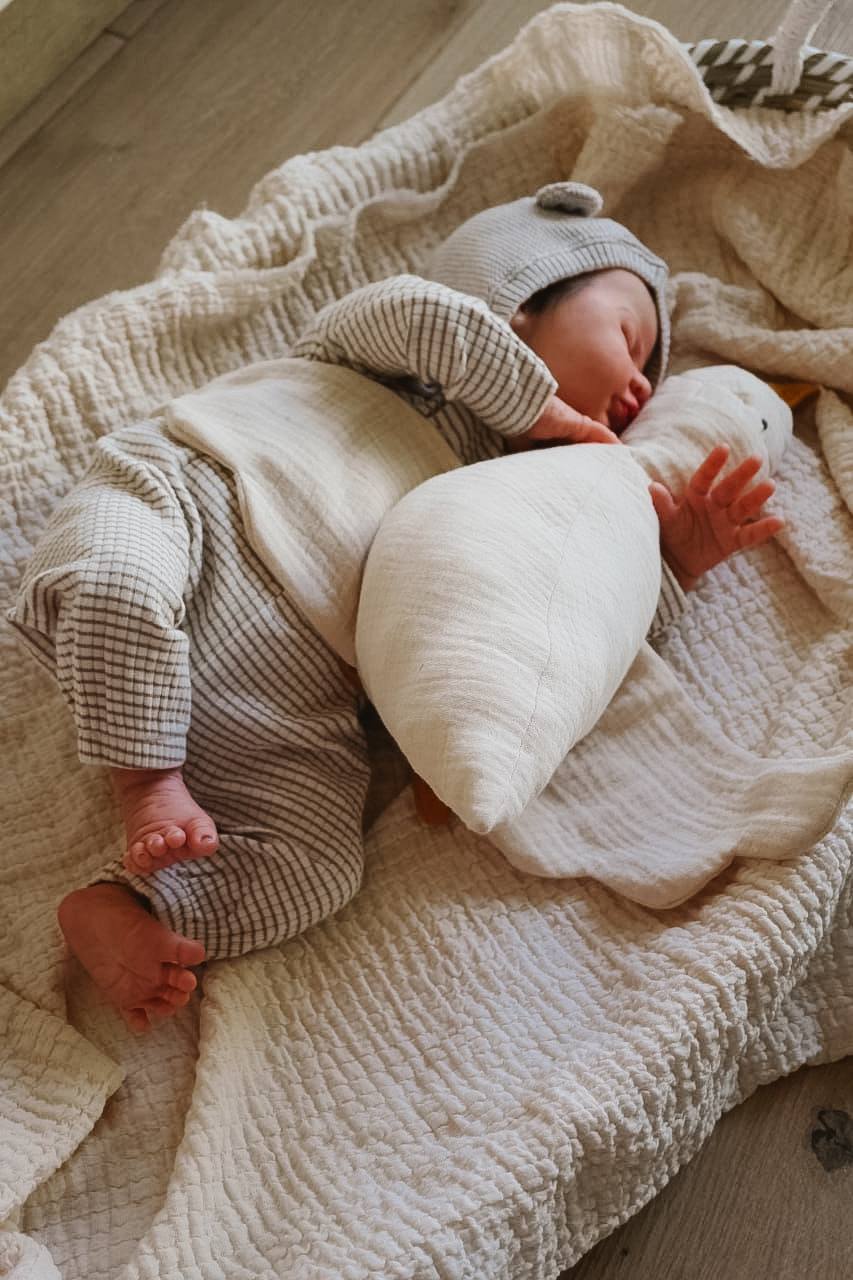 PDF střih - Střih na husu Jana / střih na látkovou hračku pro miminko